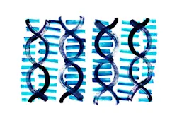 AW865 Painterly graphic depiction of DNA helix' on striped background in blue and white (thumbanil)