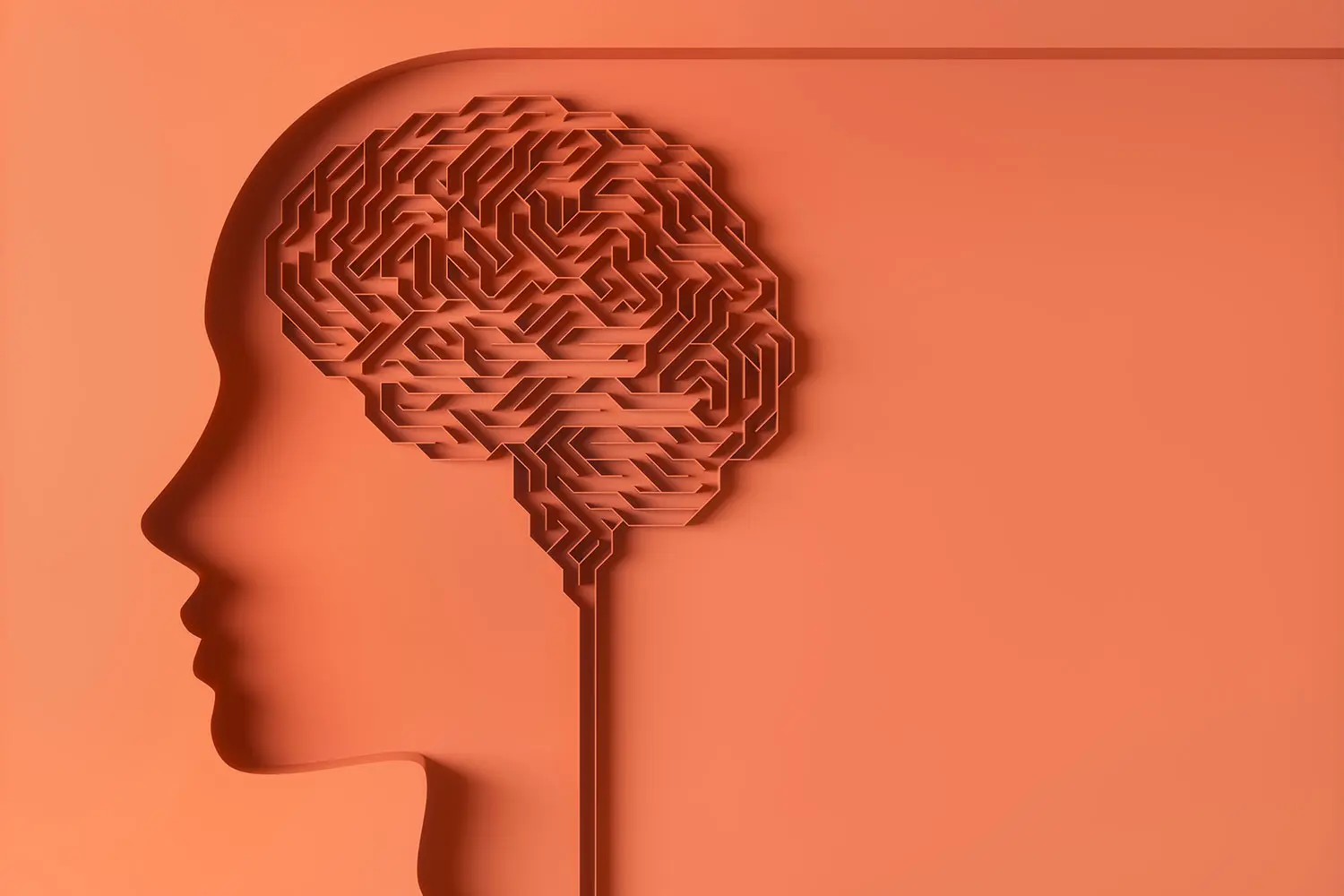 Papercut cutouts depecting female in profile brain is a maze on orange. AW527