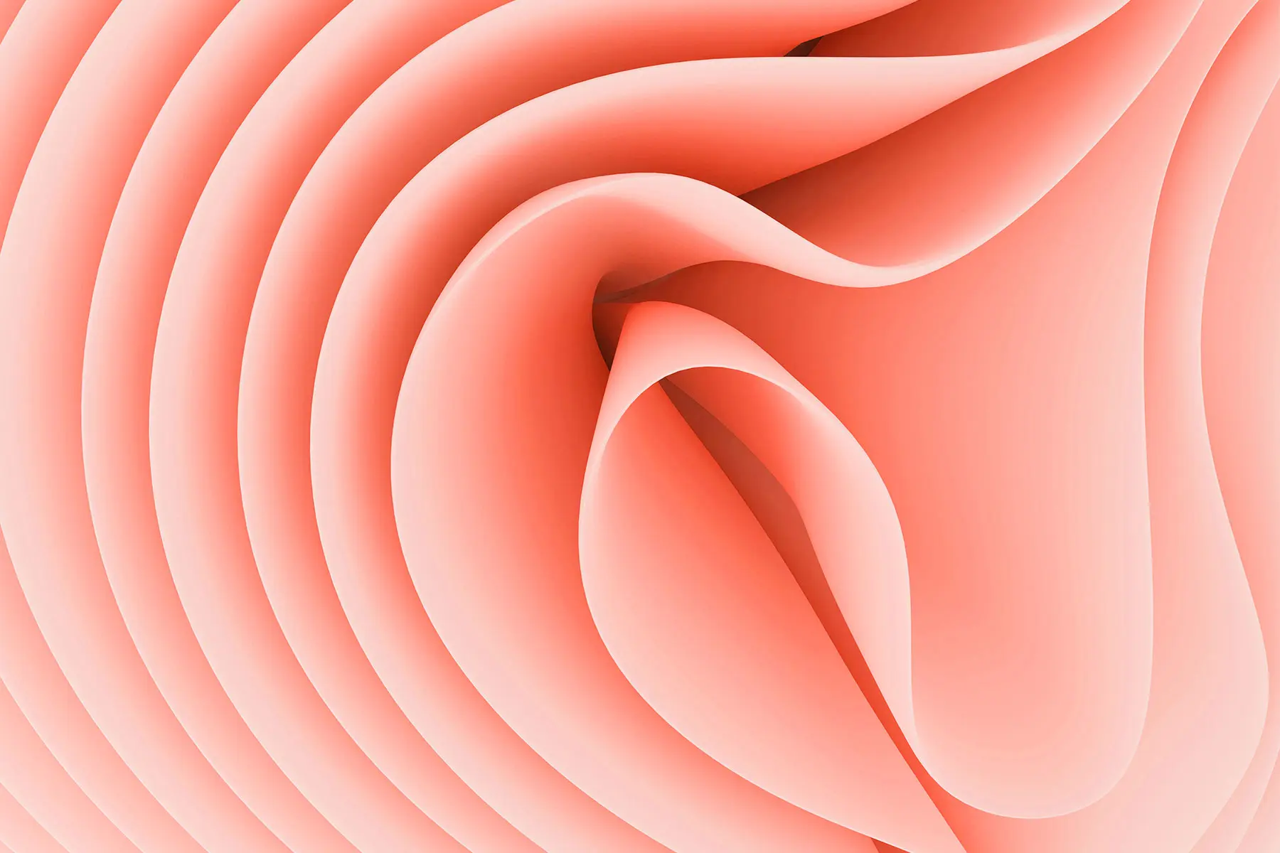 Abstract folds of pink sheeting resembling female anatomy - AW561