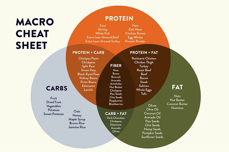 Venn Diagram graphic for Macro Cheat Sheet showing Carbs, Protein and Fat ratios for dietary intake.