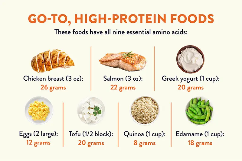 Graphic showing chart of go-to, high-protein food suggestions.