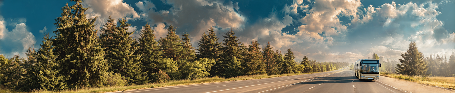 Destinații populare