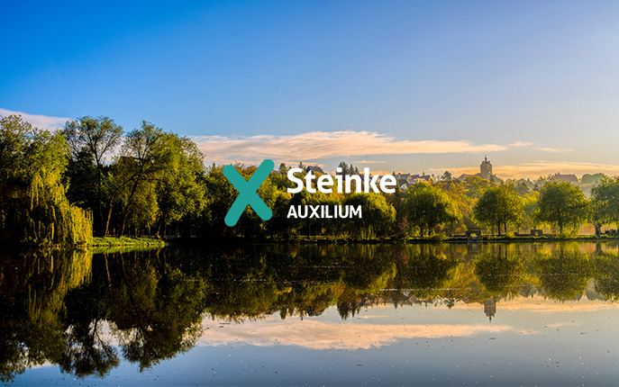 Steinke