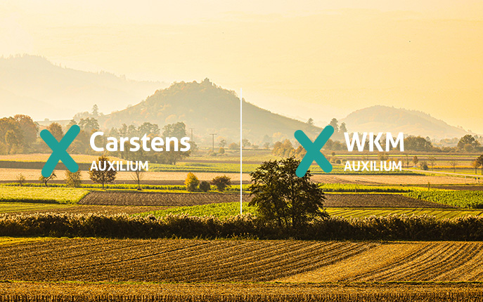 Carstens & WKM