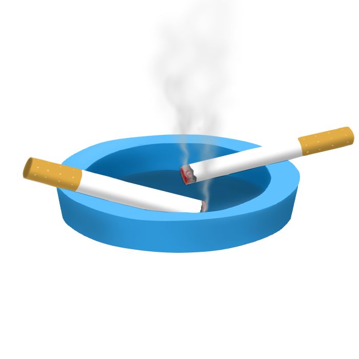 Cigarettes in an Ashtray