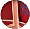 Diagram of Esophageal Sphincter
