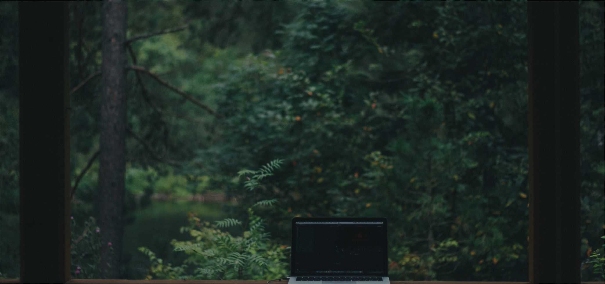 Portfolio + testimonials header