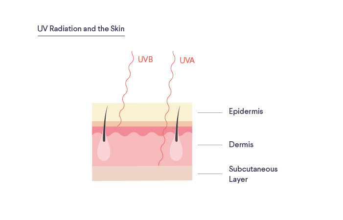 UV radiation and the skin
