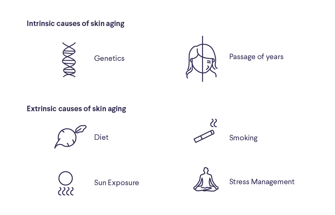 Text: "Intrinsic causes of skin aging" with images: DNA image with text "Genetics," face with text "Passage of years;" Text: "Extrinsic causes of skin aging" with images: radish with text "Diet," cigarette with text "Smoking," squiggle lines and circle with text "Sun Exposure," cross-legged figure with text "Stress Management"