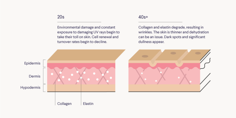 An illustrated diagram demonstrating extrinsic and intrinsic causes of aging. Text reads: "20s: Environmental damage and constant exposure to damaing UV rays begin to take their toll on skin. Cell renewal and turnover rates begin to decline. 40s: Collagen and elastin degrade, resulting in wrinkles. The skin is thinner and dehydration can be an issue. Dark spots and significant dullness appear."