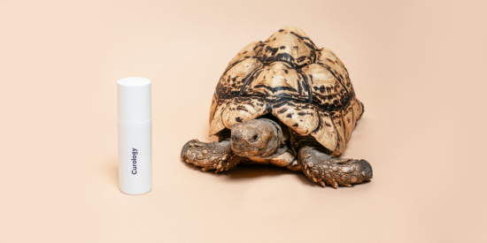 Turtle with custom curology bottle against neutral background