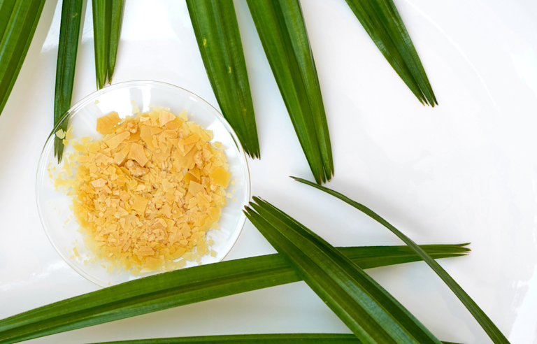 Carnauba Wax In Food Side Effects Ingredient spotlight: Carnauba wax | Curology