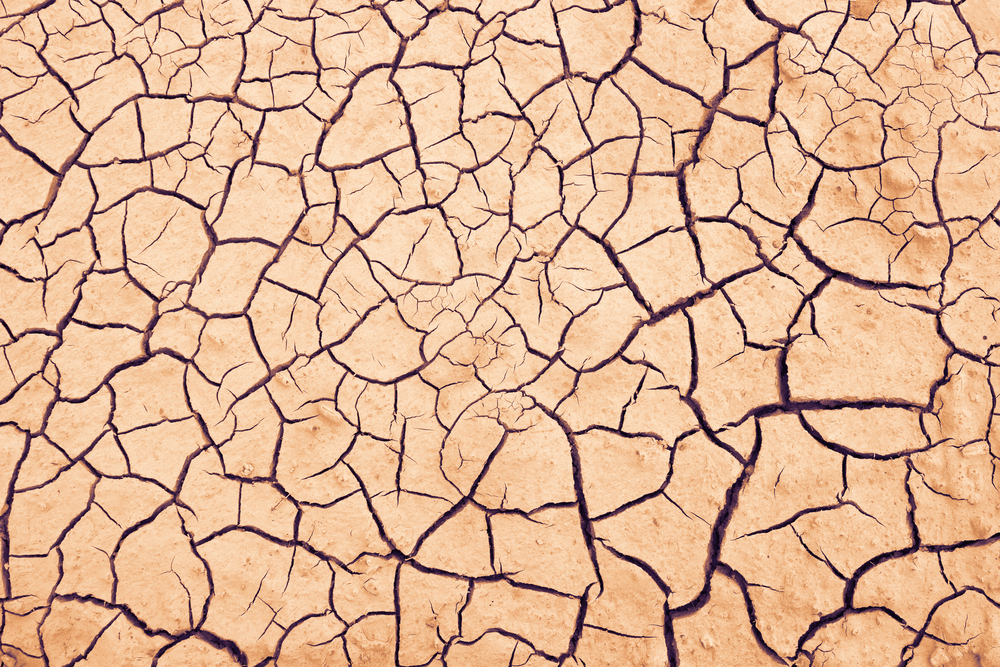 cracked ground close up