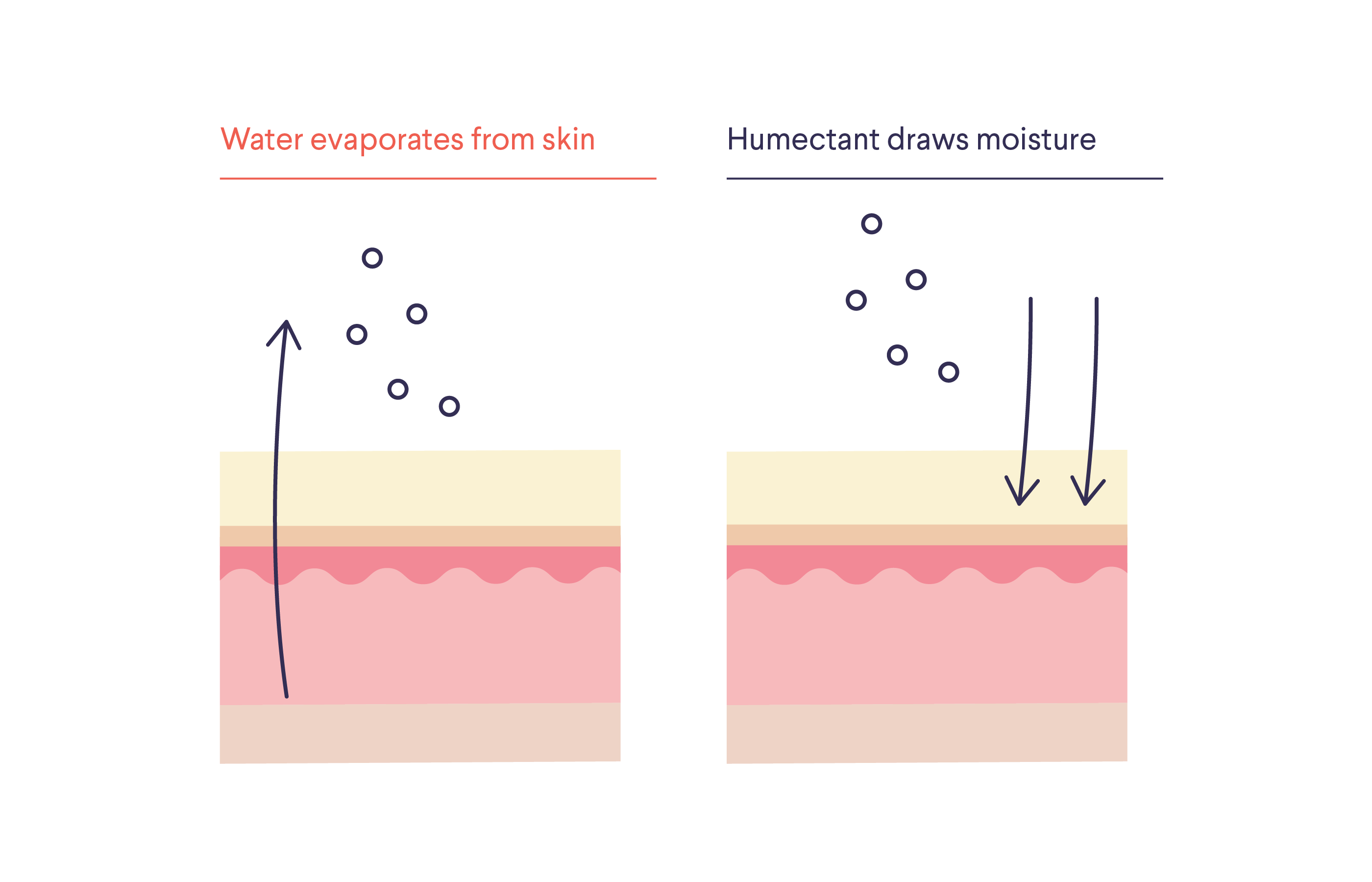 How to choose the right moisturizer for your skin type.