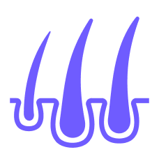 Purple thicker hair icon