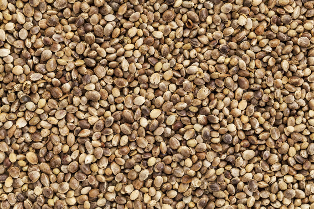 Hemp Seeds