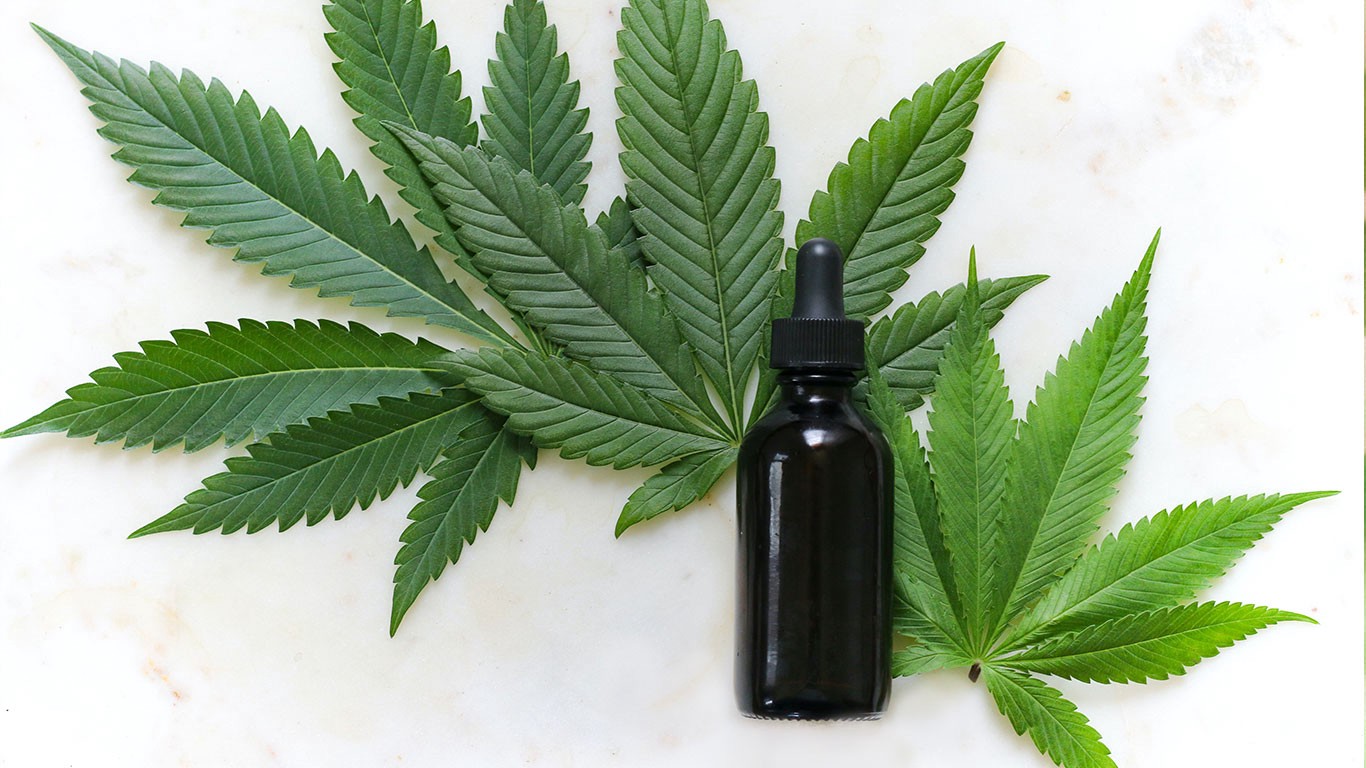 CBD plant with bottle