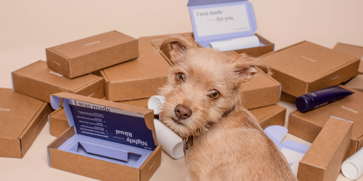 Dog with curology packages
