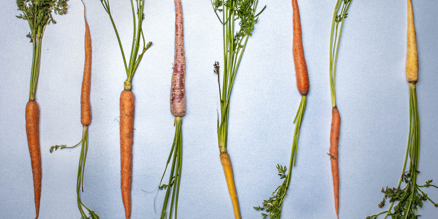 Carrots of various colors against a neutral background