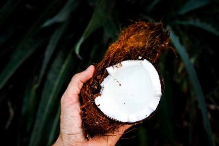 Hand holding coconut