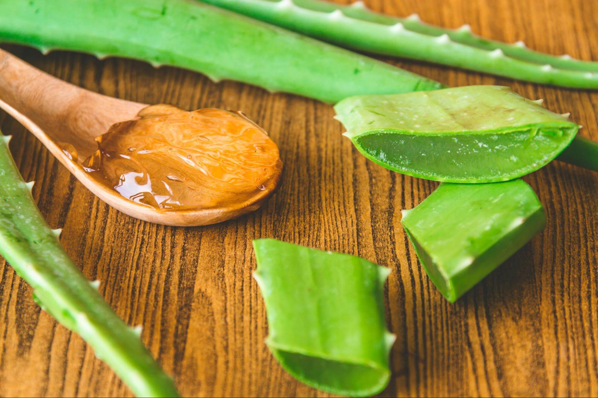 Aloe Vera Gel is Known to Boost Collagen Production