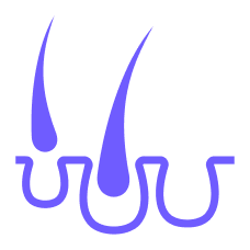Purple hair loss icon