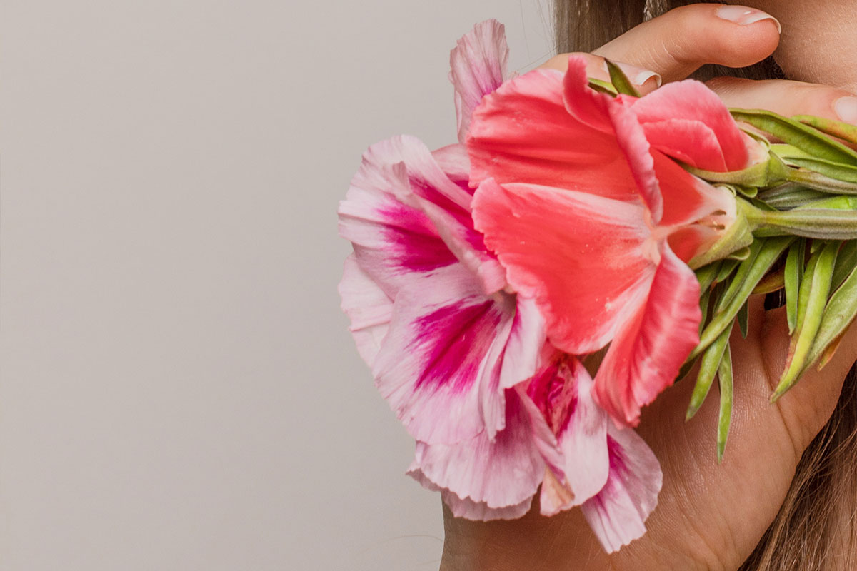 Close-up of a hand holding two flowers