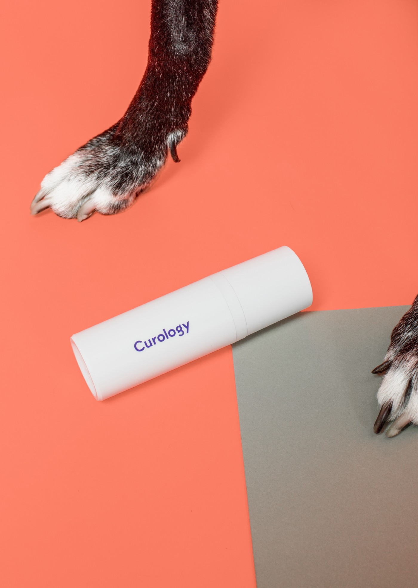 Dog paw next to Curology bottle with orange background