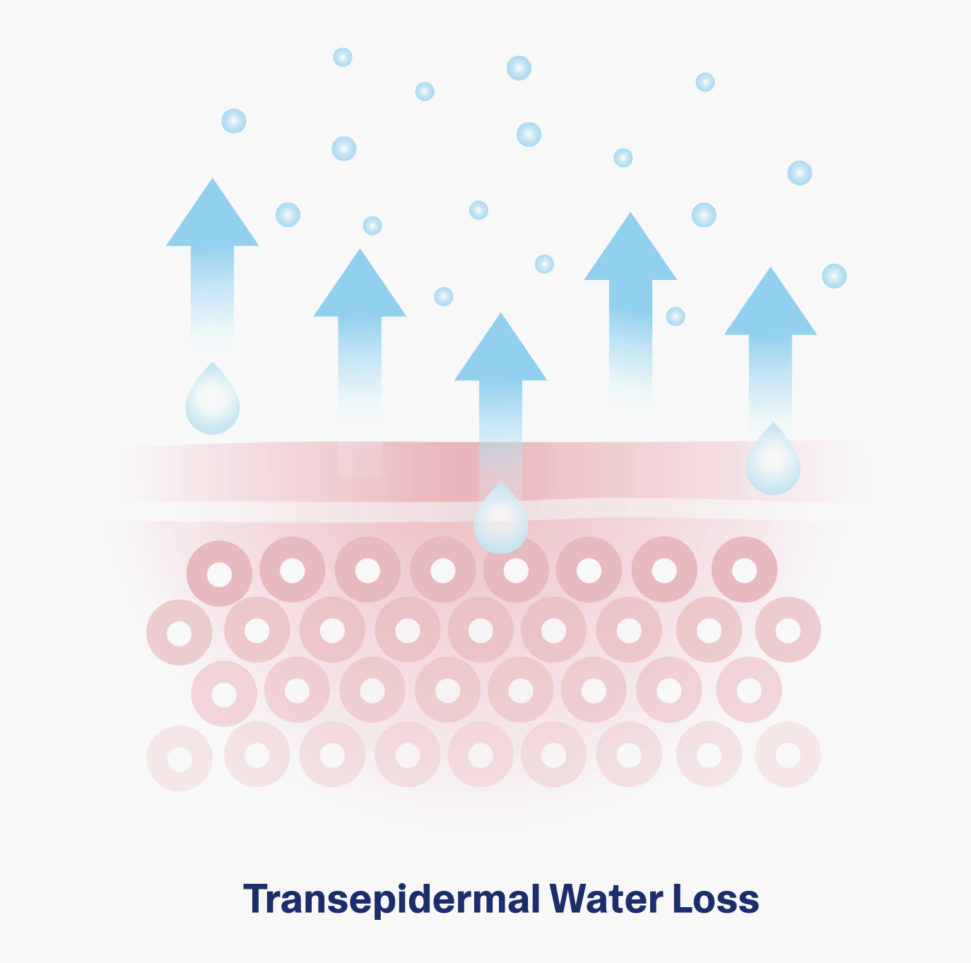 Screenshot 2025-12-17 at 4.47.01 PM