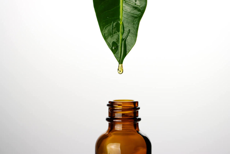 The benefits of plant extracts for skincare | Curology