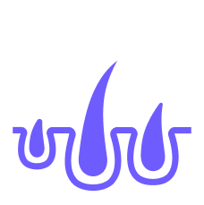 Regrow hair icon