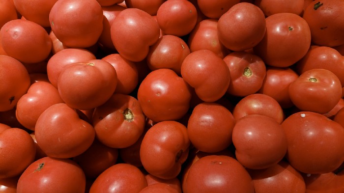 tomatoes