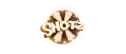 shotz casino