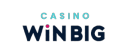 casinowinbig