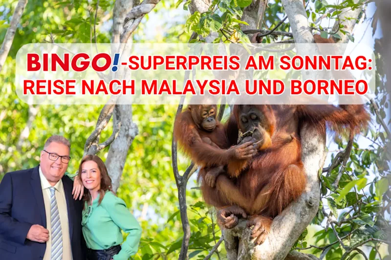 BIN<em>GO!</em>-Superpreis am 27.08.2026: Reise nach Malaysia und Borneo