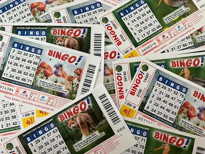 BIN<em>GO!</em>-Lose