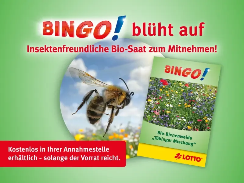 BIN<em>GO!</em> blüht auf – Kostenlose Saatgutaktion 