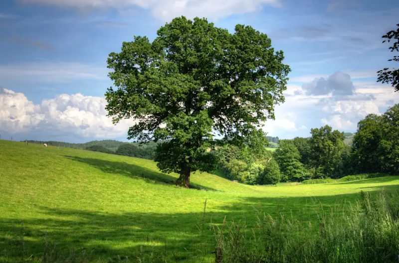 Woche der Natur