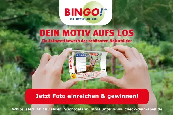 Fotowettbewerb „30 Jahre BIN<em>GO!</em>“