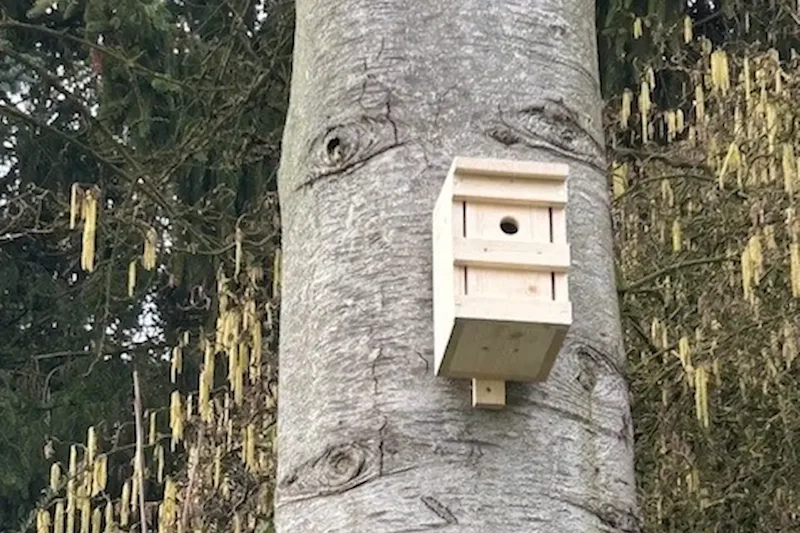 Nistkasten an einem Baum