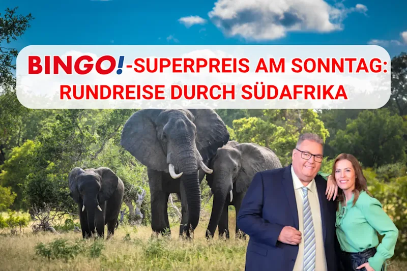 BIN<em>GO!</em>-Superpreis am 28.06.2026: Rundreise durch Südafrika