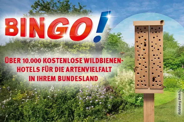 Wildbienenhotel-Aktion von BIN<em>GO!</em>
