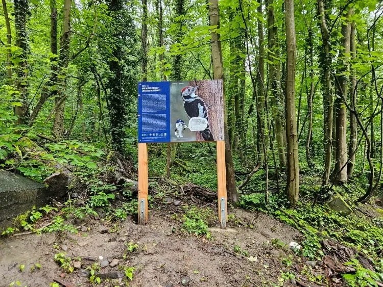 Infotafel an der Aussichtsplattform im Naturschutzgebiet „Haardtrand – am Bechsteinkopf“ 