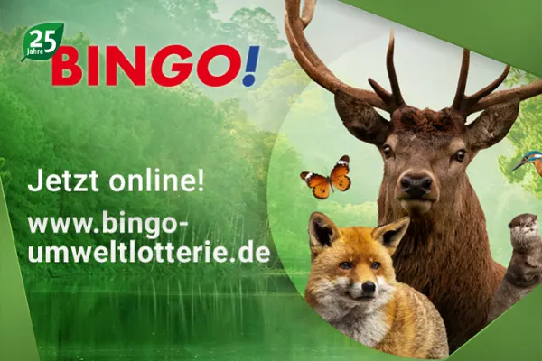 Teaser Launch BIN<em>GO!</em> Service- und Informationsplattform