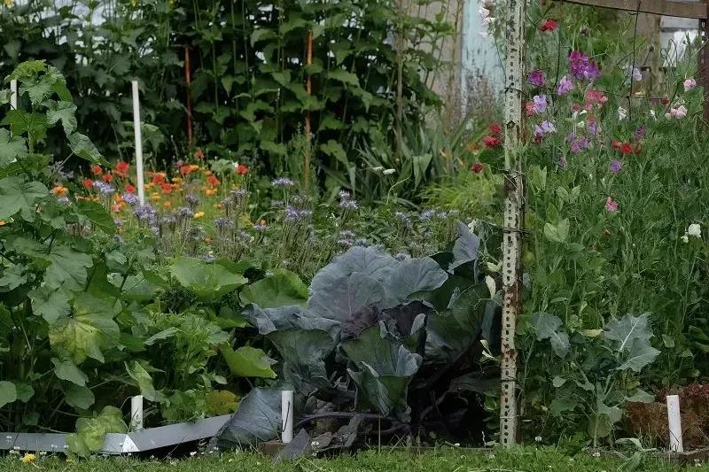 Projekt ‚‚Kinder entdecken den Klima-Garten"