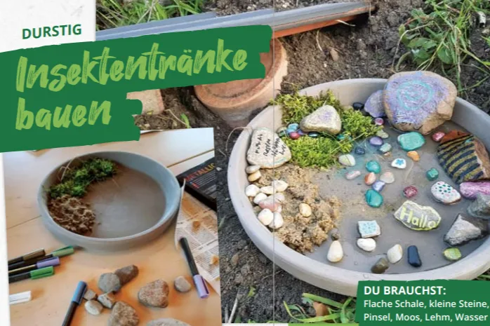 Beispielseite Naturentdeckerheft NBU 2025