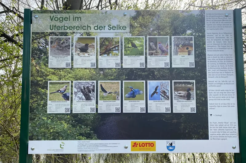 Schautafel ‚‚Vögel im Uferbereich der Selke" des Projekts ‚‚Naturgut Wasser"
