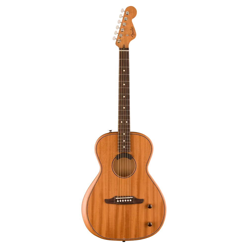 Acoustic Guitars – Fender