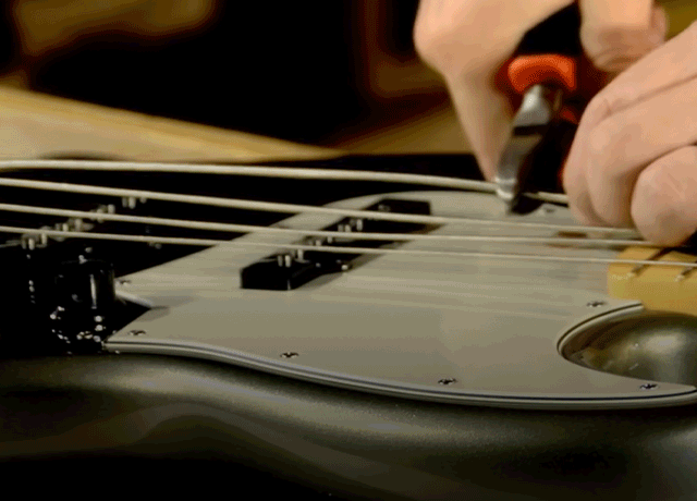 String Guide – Fender