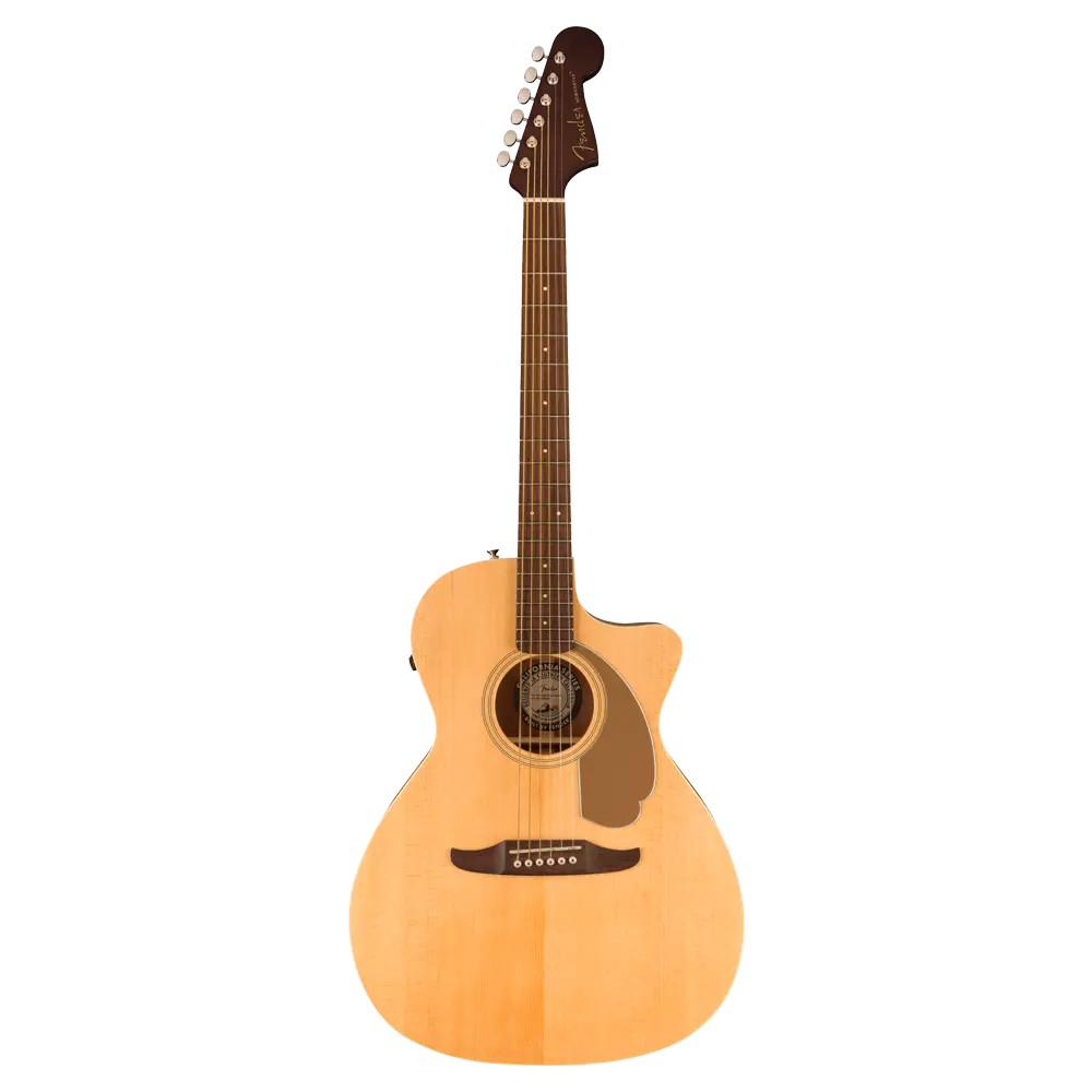 Acoustic Guitars – Fender